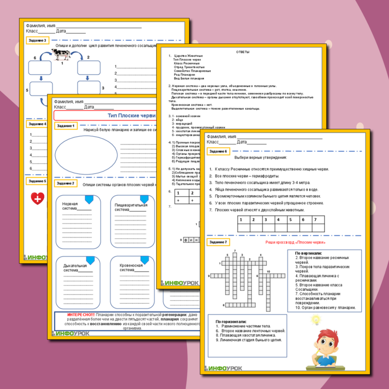 Рабочий лист «Тип Плоские черви»