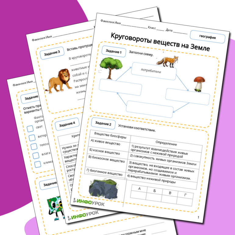 Рабочий лист по географии 6 класса 