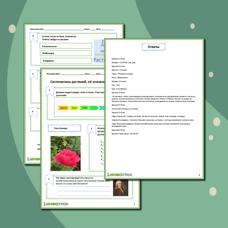 Рабочий лист «Систематика растений, её значение для ботаники»