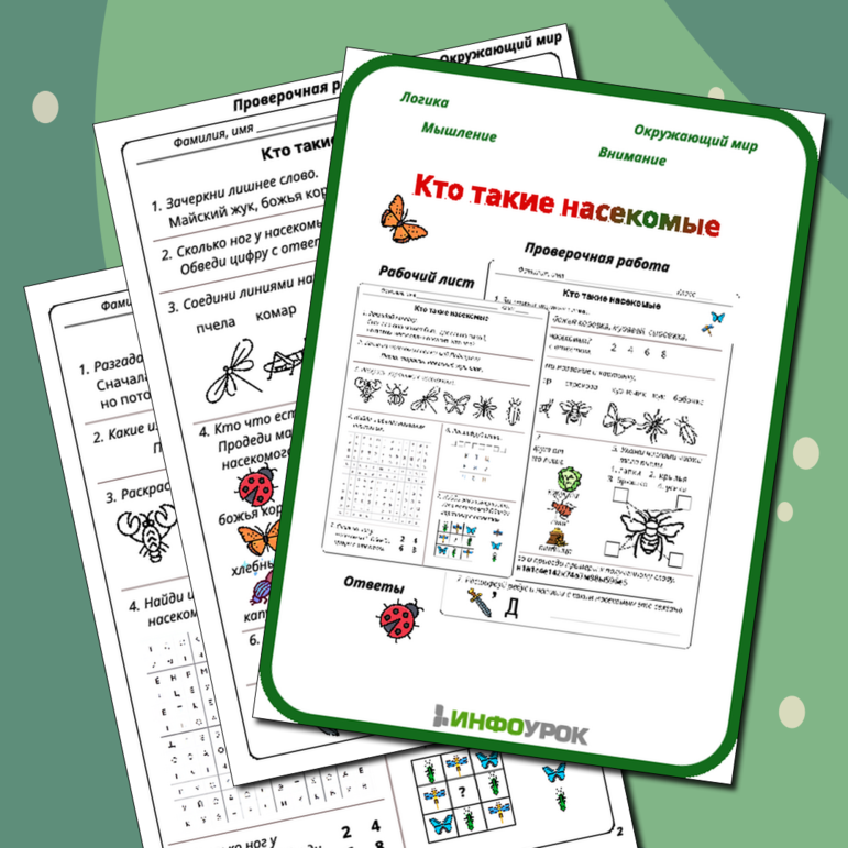 Рабочий лист + Проверочная работа по окружающему миру 