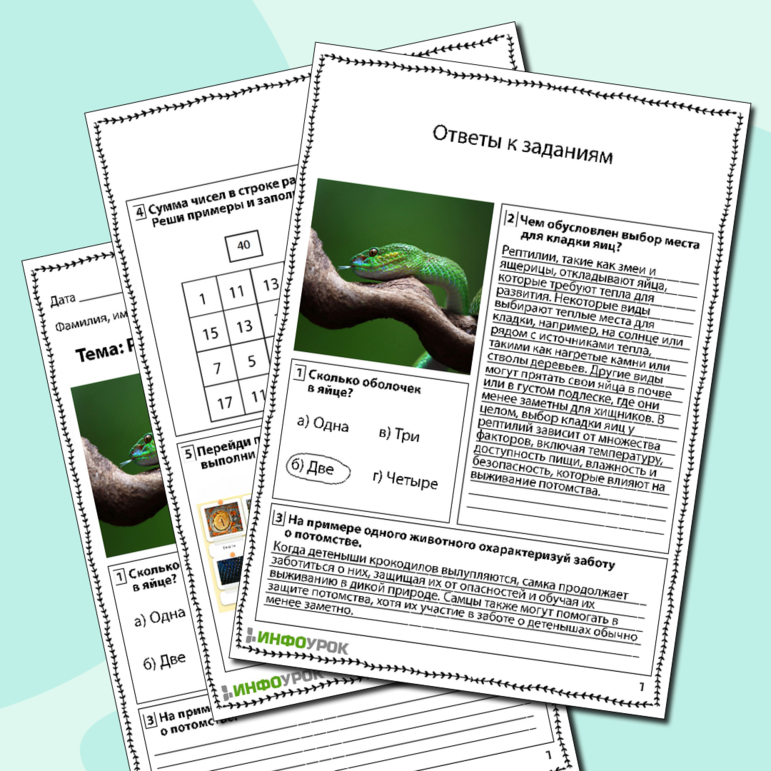 Рабочий лист по биологии «Размножение и развитие рептилий»