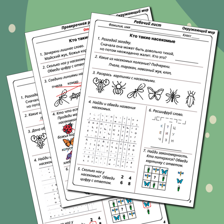 Рабочий лист + Проверочная работа по окружающему миру 