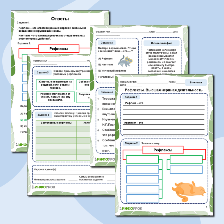 Рабочий лист по биологии «Рефлексы. Высшая нервная деятельность»