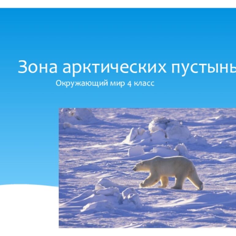 Рабочий лист по окружающему миру. Тема: Природная зона Арктических пустынь.