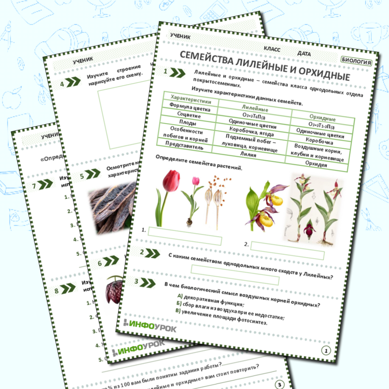Рабочий лист: Семейства Лилейные и Орхидные. «Определение представителей семейств с использованием определителей растений или определительных карточек»