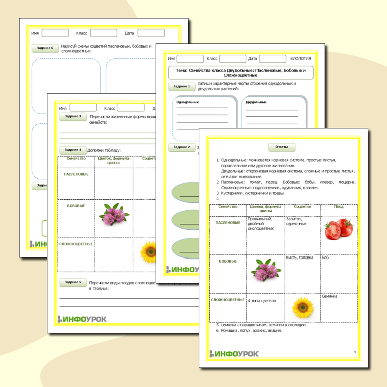 Рабочий лист по биологии для 7 класса. Тема: «Семейства класса Двудольные: Пасленовые, Бобовые и Сложноцветные»