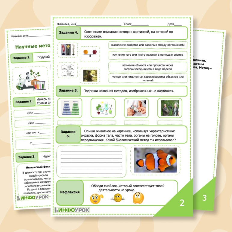 Рабочий лист по биологии 5 класс Научные методы изучения живой природы