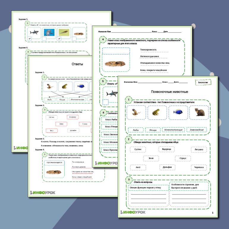 Рабочий лист по биологии 