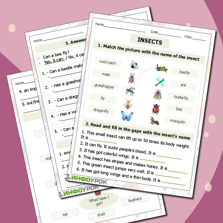 Рабочий лист по английскому языку Природа (насекомые) Insects 5 класс