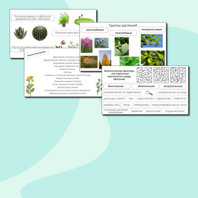 Презентация «Среда обитания растений. Экологические факторы», 7 класс, к учебнику В.В. Пасечника (Линия жизни), соответствует ФОП