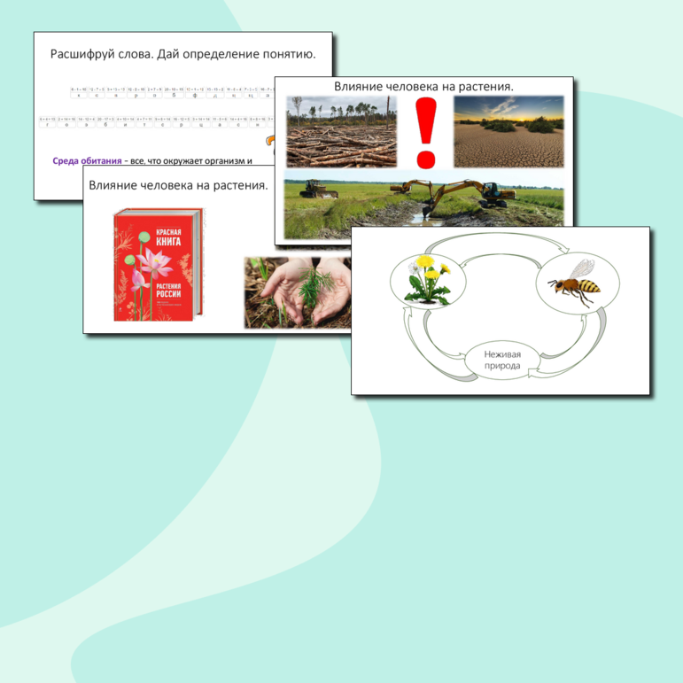 Презентация «Среда обитания растений. Экологические факторы», 7 класс, к учебнику В.В. Пасечника (Линия жизни), соответствует ФОП