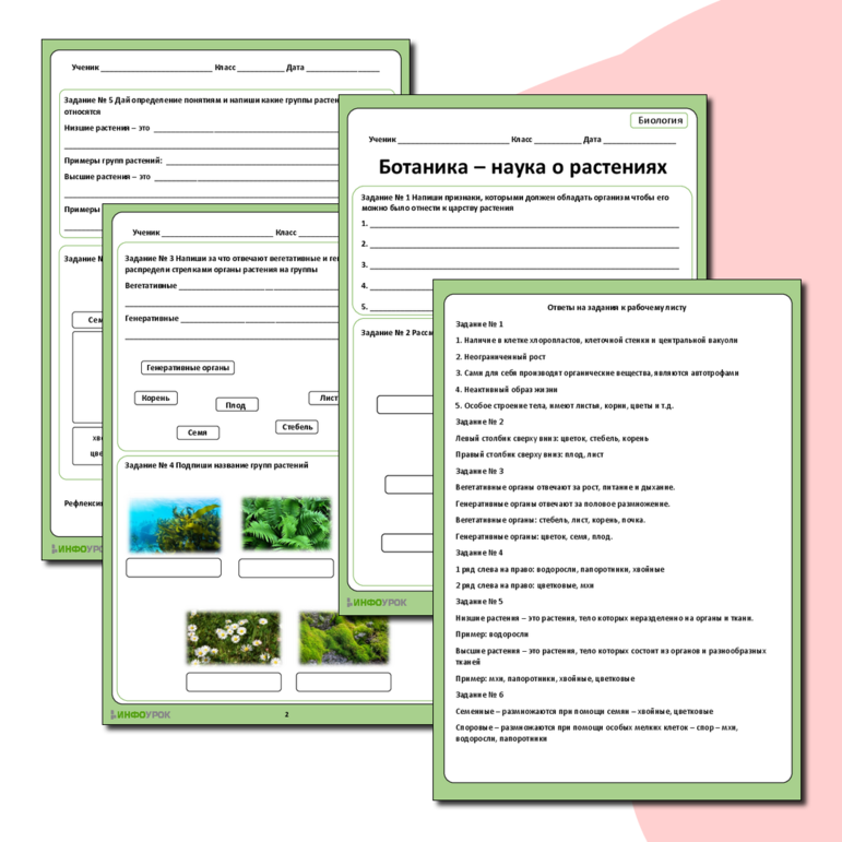Рабочий лист по биологии по теме «Ботаника - наука о растениях»