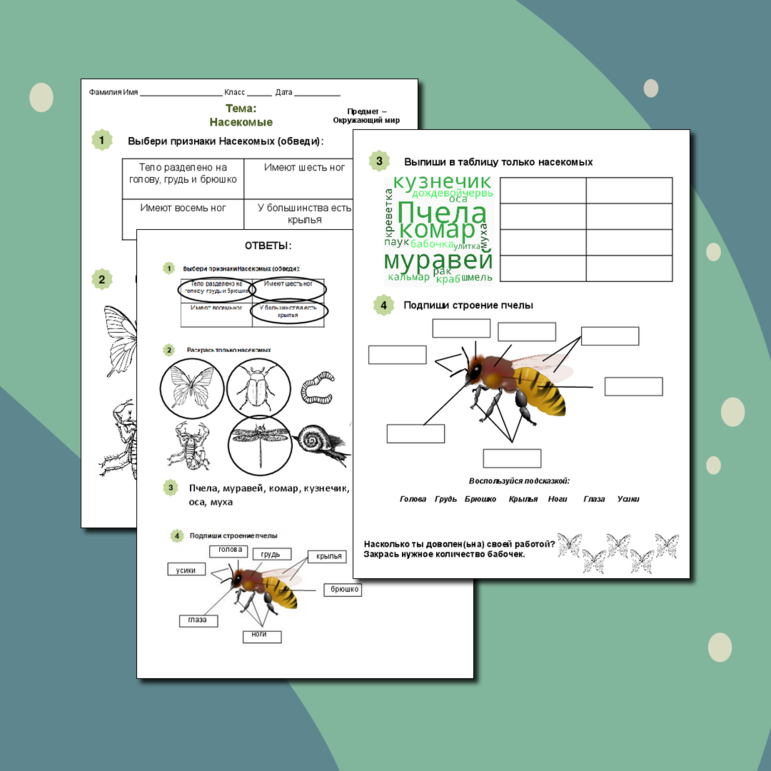 РАБОЧИЙ ЛИСТ - НАСЕКОМЫЕ