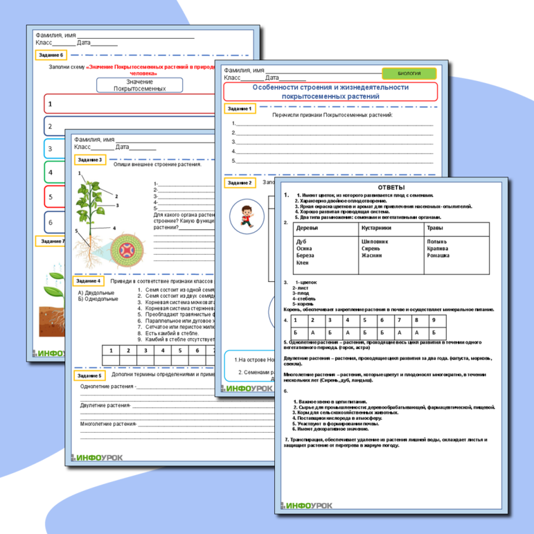Рабочий лист по биологии «Особенности строения и жизнедеятельности Покрытосеменных растений»