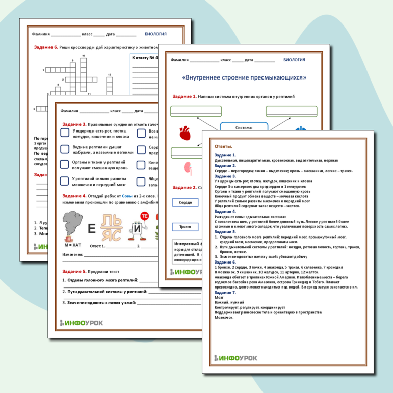 Рабочий лист. Биология. «Внутреннее строение пресмыкающихся»