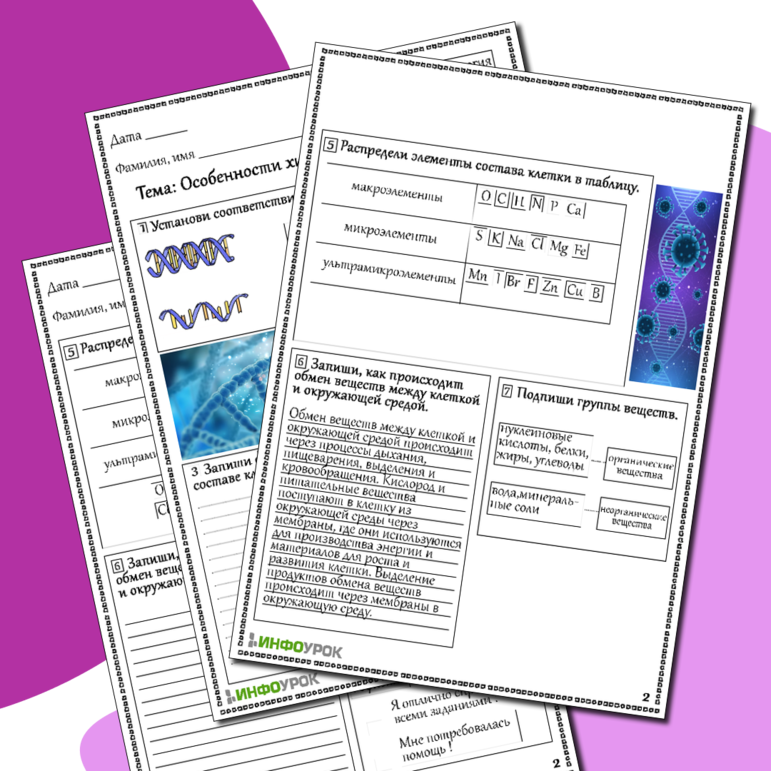 Рабочий лист по биологии Особенности химического состава клетки