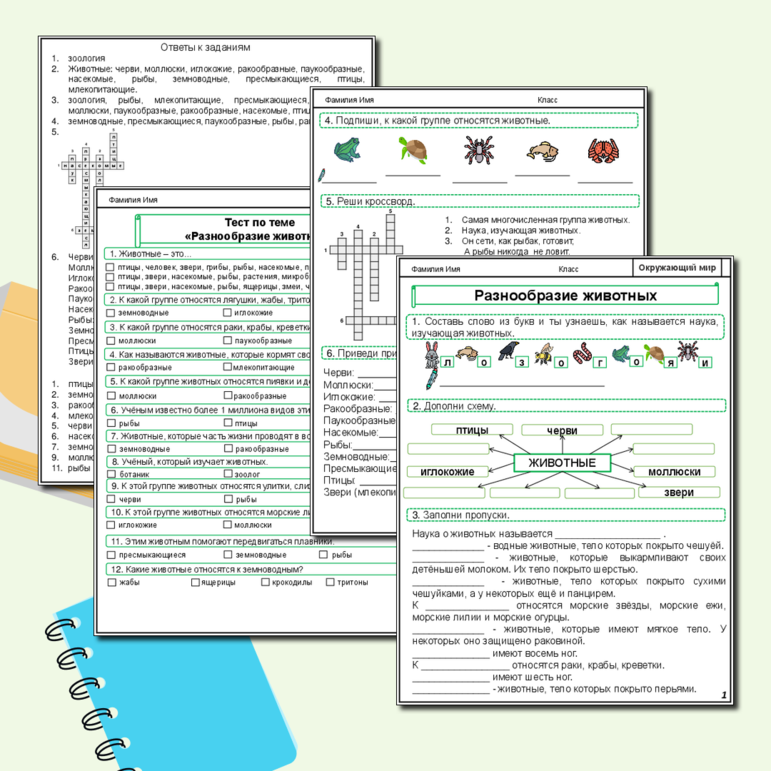 Разнообразие животных. Мир животных. Рабочий лист по окружающему миру для 3 класса. (Рабочий лист + тест по теме + ответы)