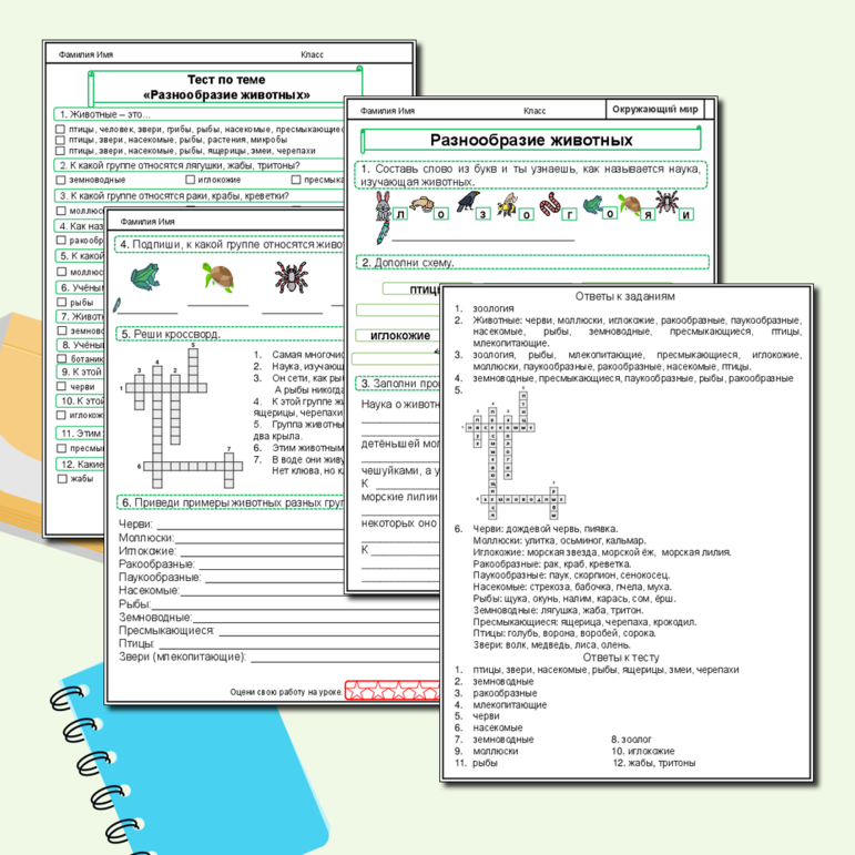 Разнообразие животных. Мир животных. Рабочий лист по окружающему миру для 3 класса. (Рабочий лист + тест по теме + ответы)