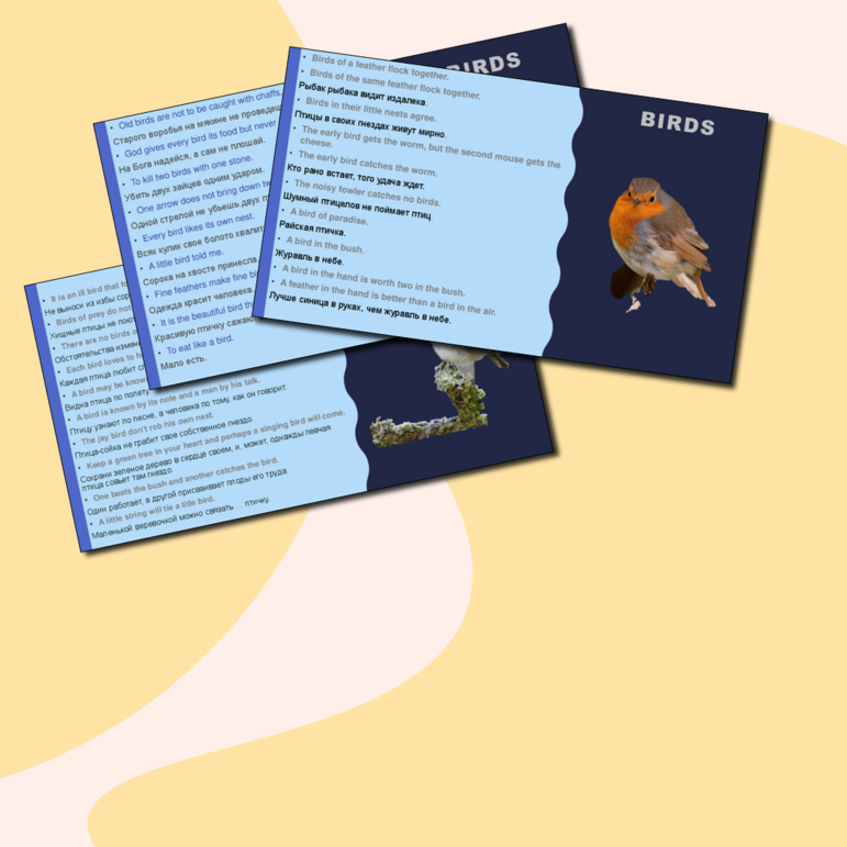 Сборник материалов для английского языка № 6 Птицы и насекомые из цикла Животные.