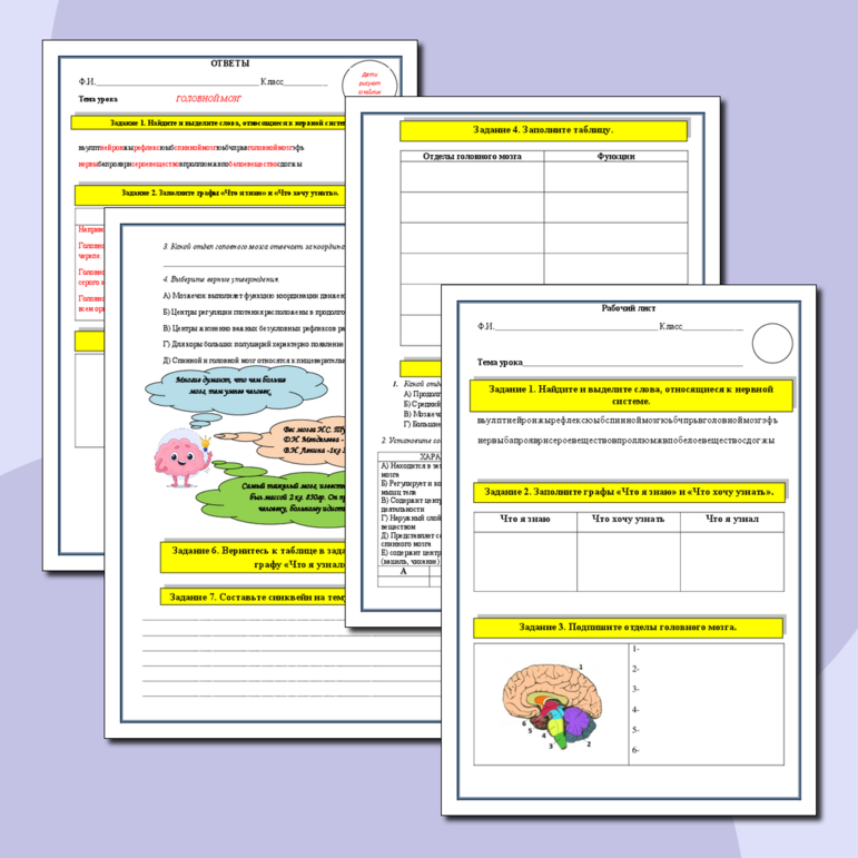 Рабочий лист по биологии на тему ГОЛОВНОЙ МОЗГ 8(9) класс.