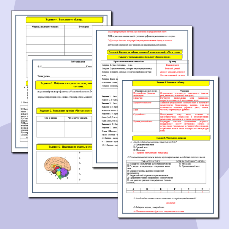 Рабочий лист по биологии на тему ГОЛОВНОЙ МОЗГ 8(9) класс.