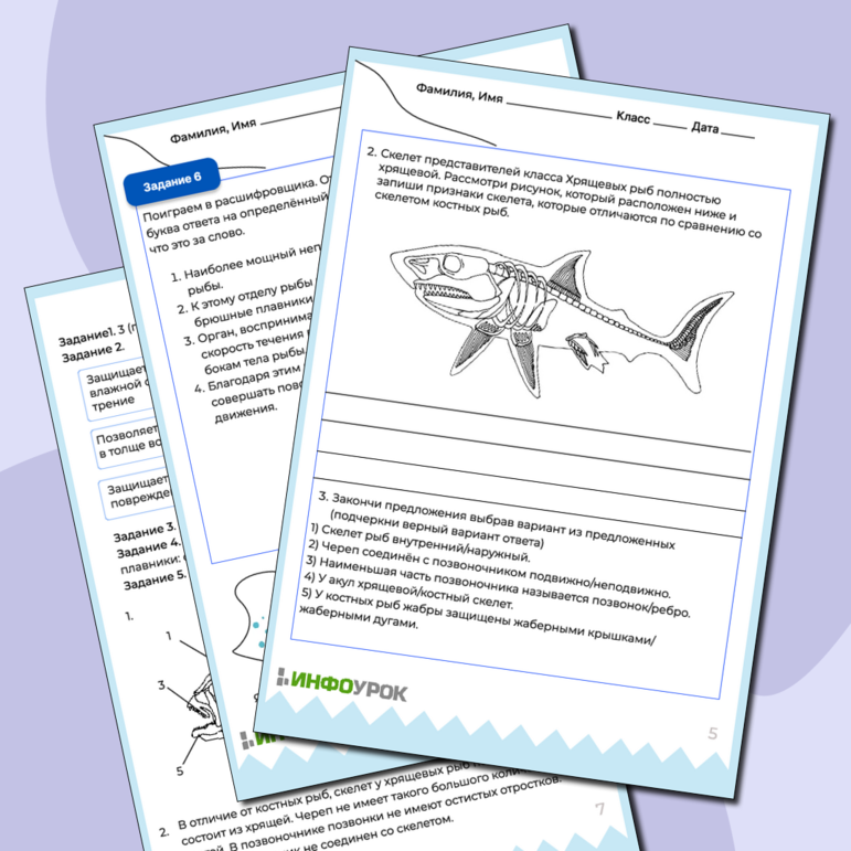 Рабочий лист «Места обитания, внешнее строение и скелет рыб. Лабораторная работа «Изучение скелета костных и хрящевых рыб»