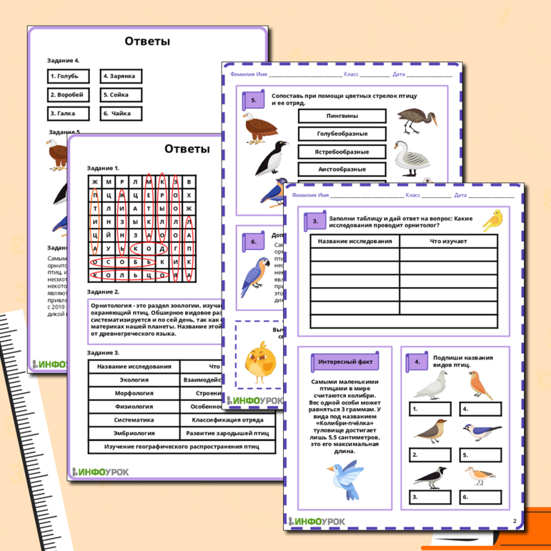 Рабочий лист по биологии на тему «Кто такой орнитолог?»