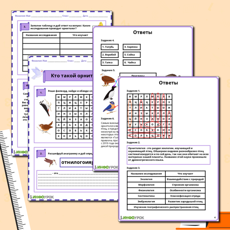 Рабочий лист по биологии на тему «Кто такой орнитолог?»