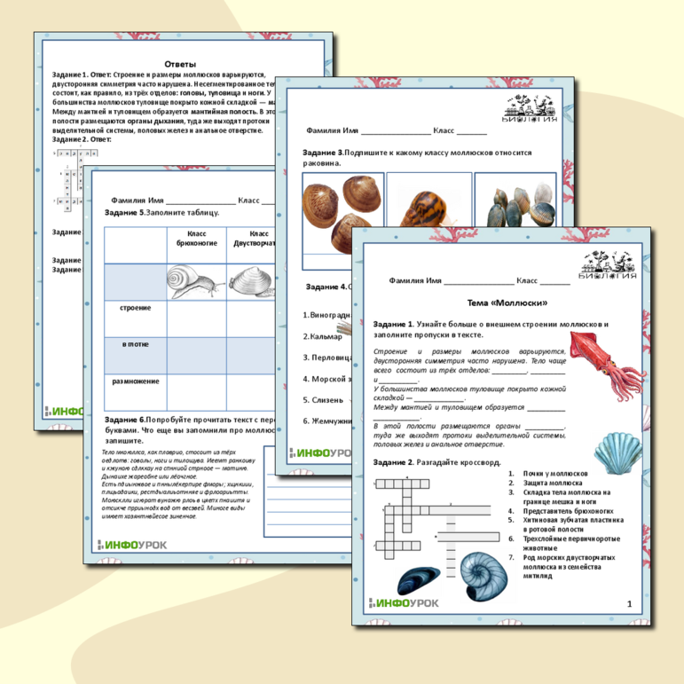 Рабочий лист зоология подготовка к ЕГЭ\ОГЭ по теме Моллюски