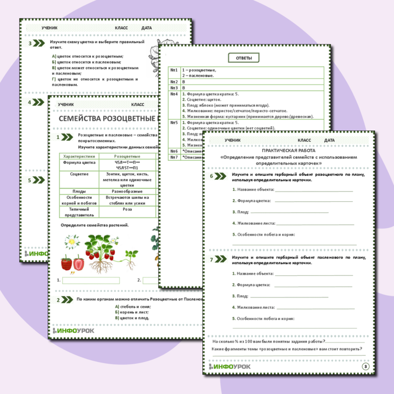 Рабочий лист: Семейства Розоцветные и Пасленовые. Практическая работа «Определение представителей семейств с использованием определителей растений или определительных карточек»