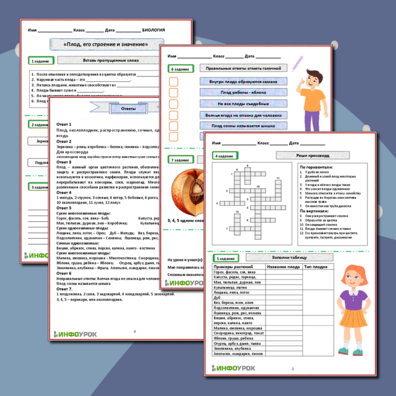 Рабочий лист. «Плод, его строение и значение»