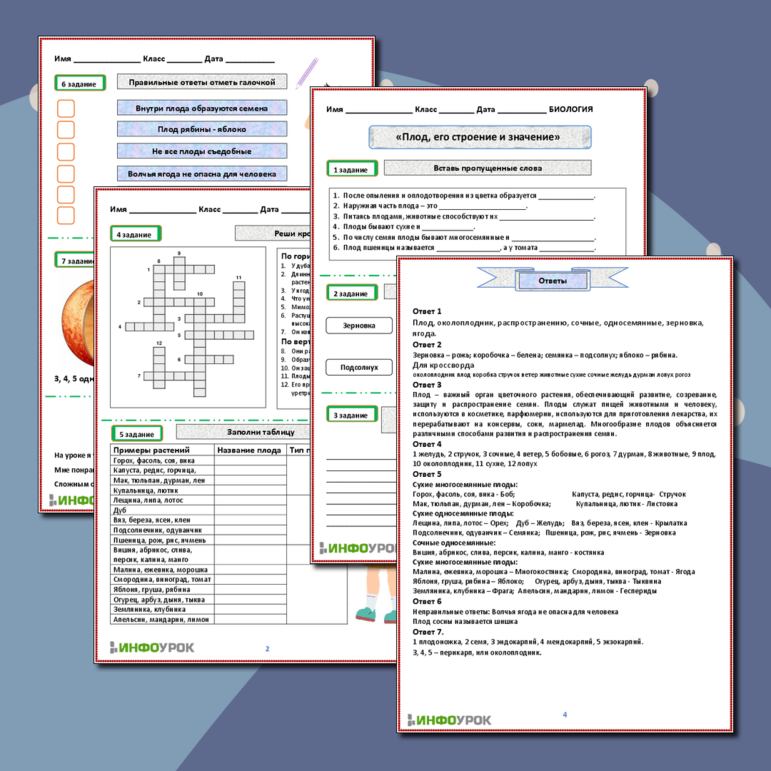 Рабочий лист. «Плод, его строение и значение»