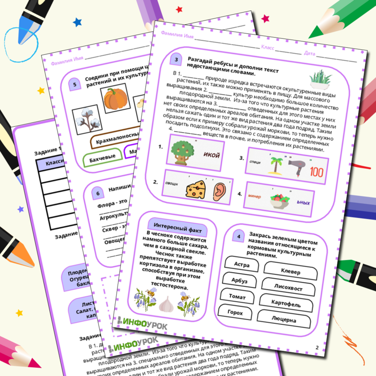 Рабочий лист по биологии на тему «Культурные растения»