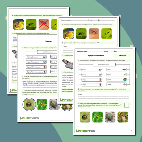 ГЛАВА VI ЦАРСТВО РАСТЕНИЯ (PLANTAE, EMBRYOPHYTA, PHYTOBIOTA)