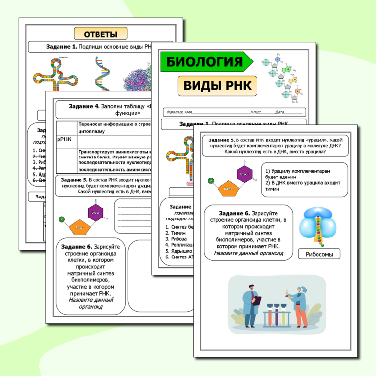 Рабочий лист по теме: «Виды РНК»