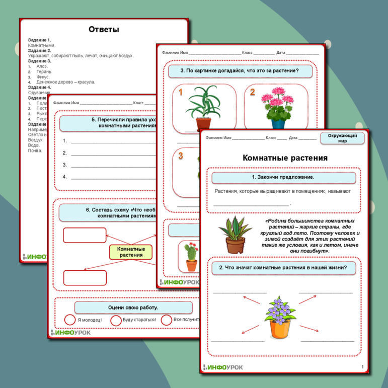Рабочий лист по окружающему миру «Комнатные растения»