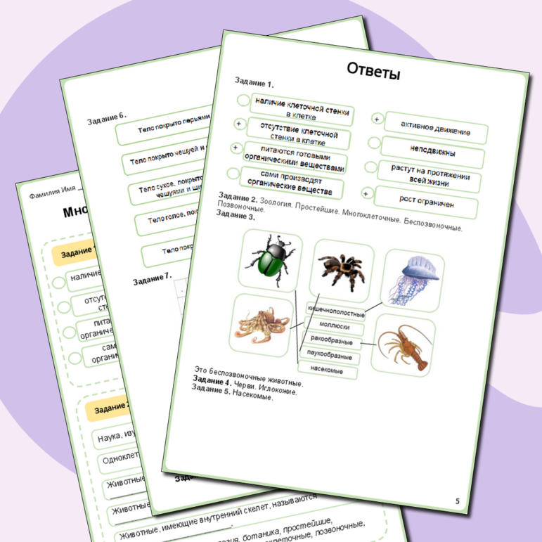 Рабочий лист по биологии «Многообразие и значение животных»