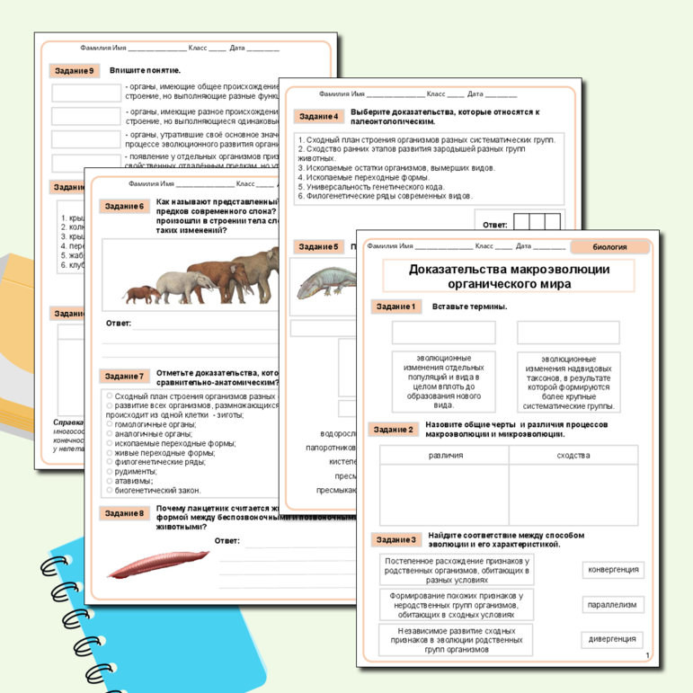 Рабочий лист по биологии 