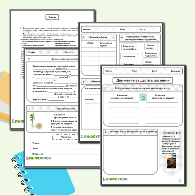 Рабочий лист по биологии в 6 классе «Движение веществ в растении»