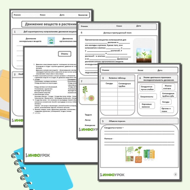 Рабочий лист по биологии в 6 классе «Движение веществ в растении»
