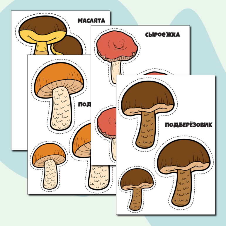 Съедобные грибы - картинки для вырезания. Серия 9 листов