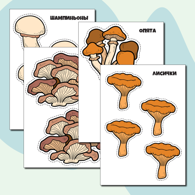 Съедобные грибы - картинки для вырезания. Серия 9 листов