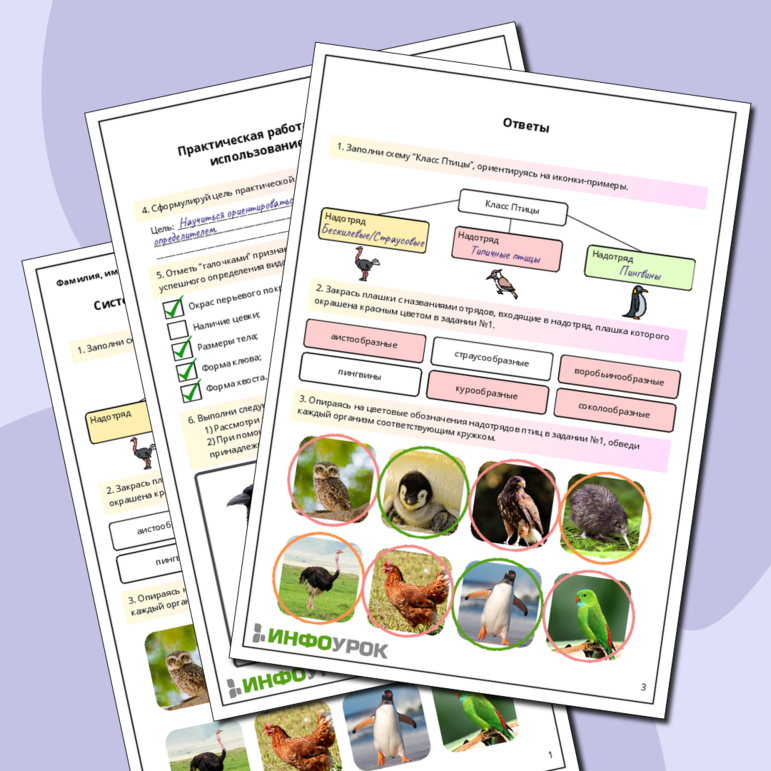 Рабочий лист по биологии:Систематические группы птиц. Практическая работа «Определение птиц с использованием определителей»