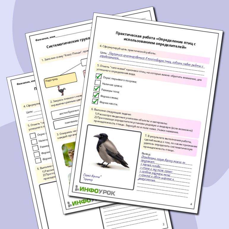 Рабочий лист по биологии:Систематические группы птиц. Практическая работа «Определение птиц с использованием определителей»