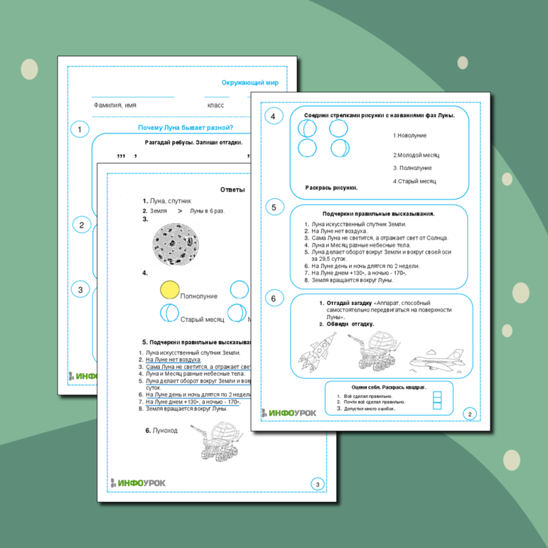 Рабочий лист по окружающему миру 