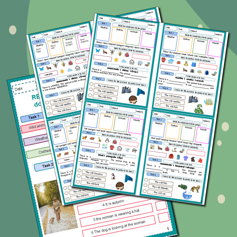 Комплект: Рабочий лист + проверочная работа по теме REVISION: Nature: wild and domestic animals. Weather \ Обобщение по теме 