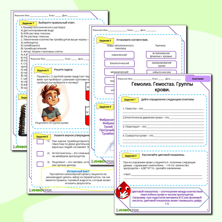Рабочий лист «Гемолиз. Гемостаз. Группы крови»