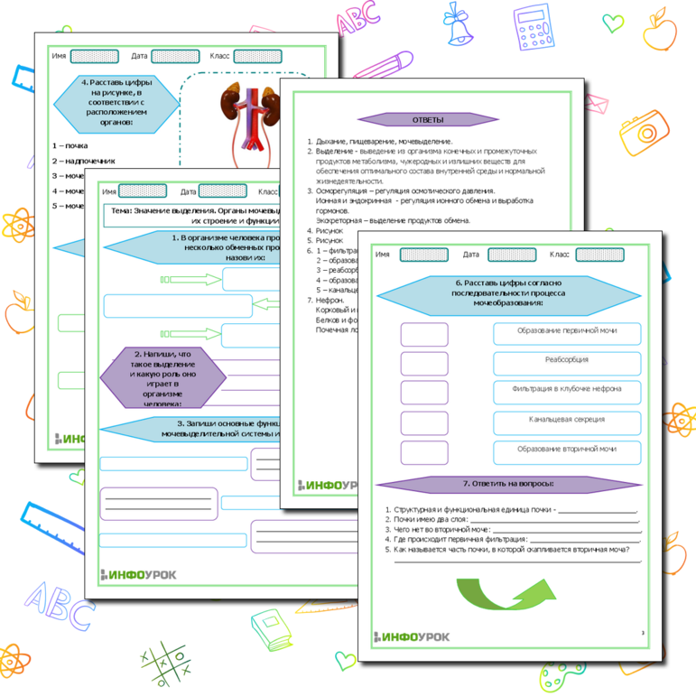 Рабочий лист «Значение выделения. Органы мочевыделительной системы, их строение и функции»