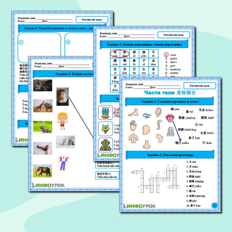 Рабочий лист по китайскому языку по теме 