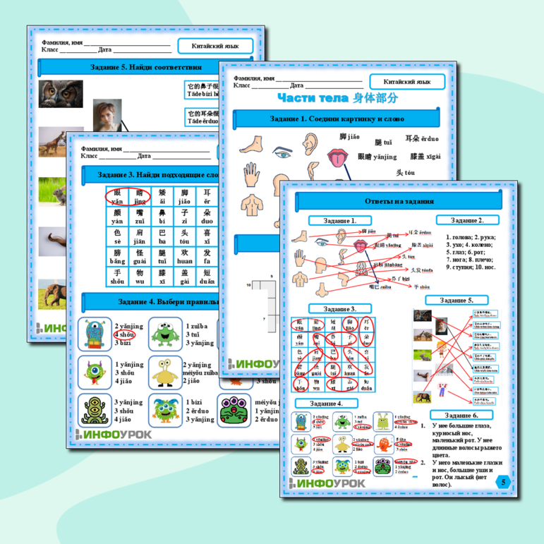 Рабочий лист по китайскому языку по теме 